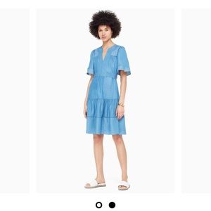 Indigo Railroad Dress